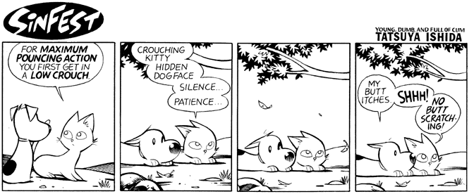 Birds 4