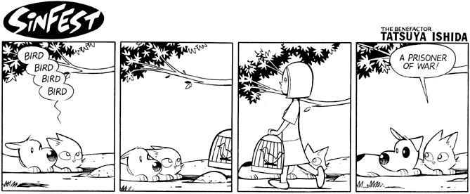 Birds 6