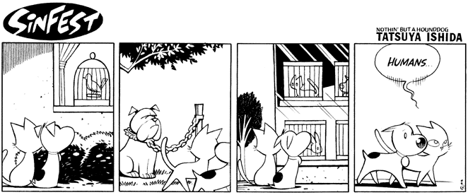 Birds 8
