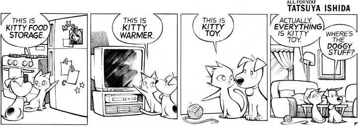 Kitty Stuff