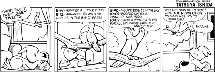 Tweets